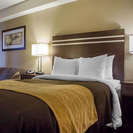 Comfort Inn Guelph Exteriér fotografie